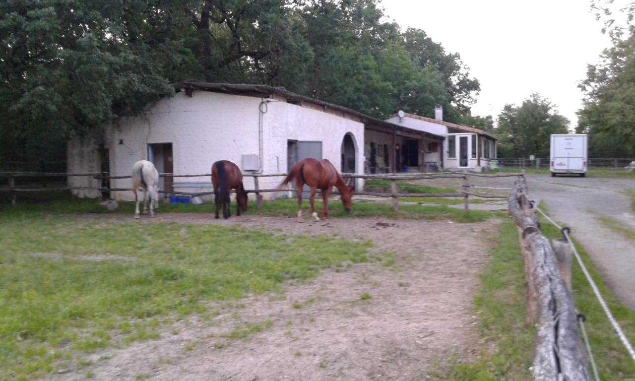 Ferme Equestre Des Abrons Villa Pailloles Exterior photo